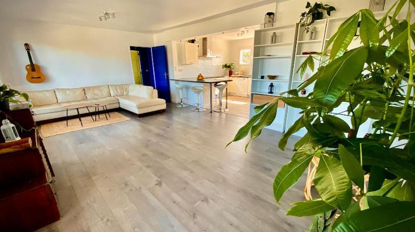 Отель Sewa Surf House 10Min De Capbreton Hossegor Benesse-Maremne Экстерьер фото
